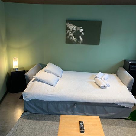Froissart Loft Et Studio Шиме Екстериор снимка